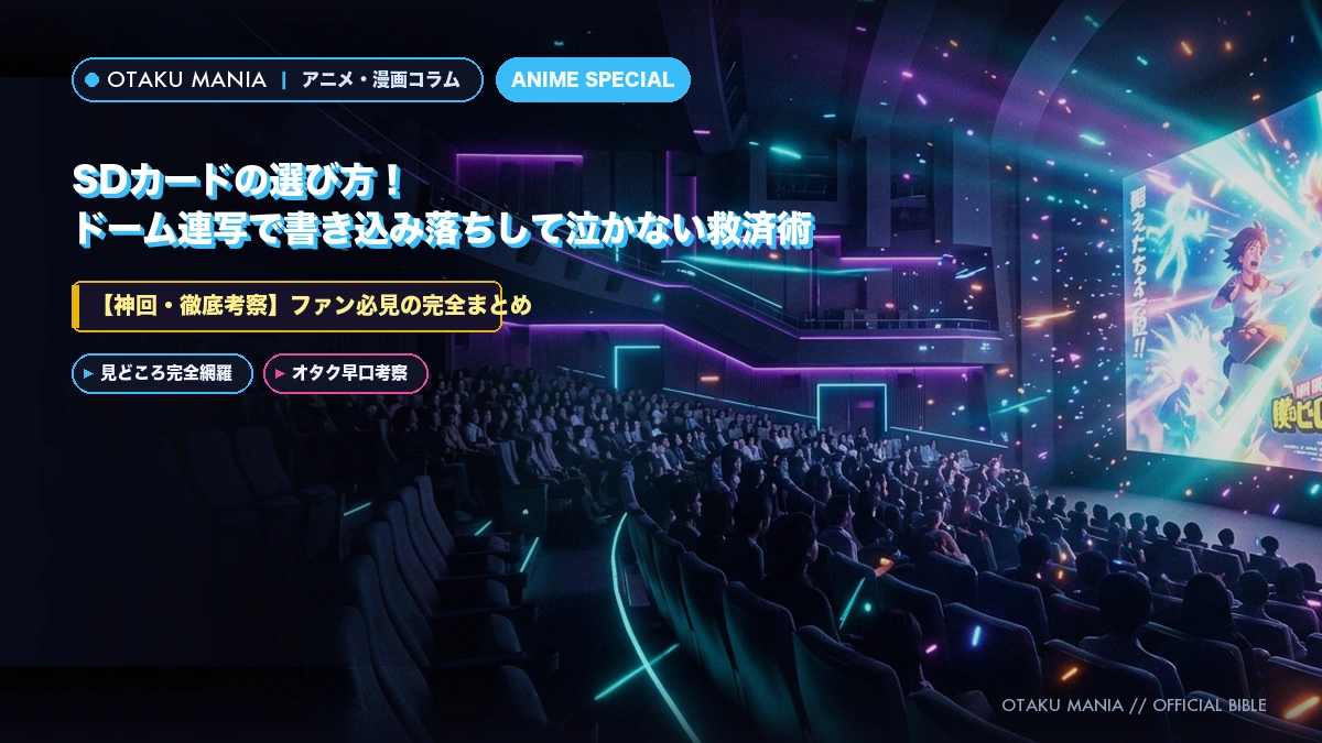 SDカードの選び方！ドーム連写で書き込み落ちして泣かない救済術